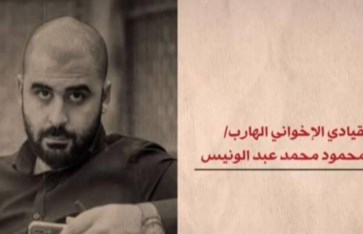 محمود محمد عبدالونيس