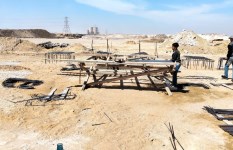 مشروع شلتر لإيواء الكلاب