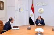 الرئيس السيسي وزير الخارجية