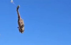 وزارة الدفاع القطرية