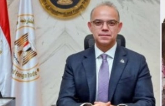 وزير الاستثمار