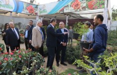 معرض زهور الربيع