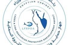 جهاز حماية وتنمية البحيرات