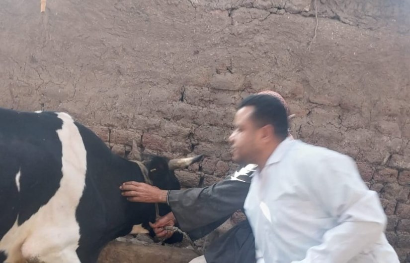 جانب من التحصين