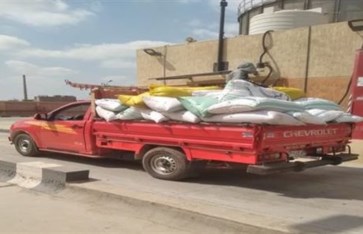 توريد 182 ألف طن قمح وحصاد 111 ألف فدان حتى الآن