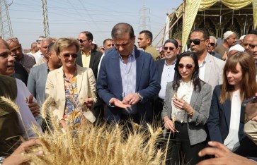  احتفالية ميكنة حصاد القمح بمحافظة البحيرة