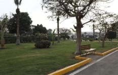 القاهرة 