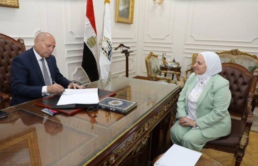 محافظ القاهرة
