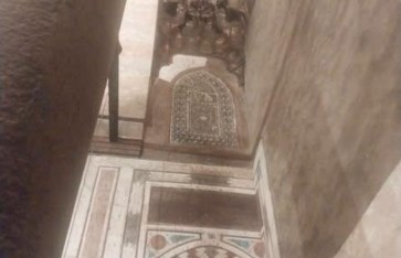 مجلس الوزراء: فيديو انتشار الخفافيش بمجموعة الظاهر برقوق “قديم”