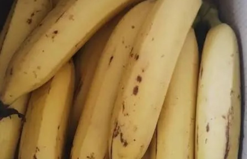 الموز