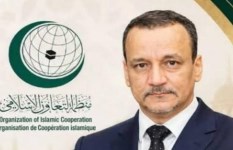 إسماعيل ولد الشيخ أحمد