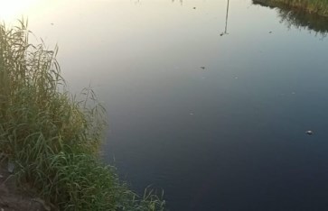 مصرف الزوامل