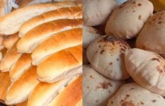 الخبز السياحي والفينو