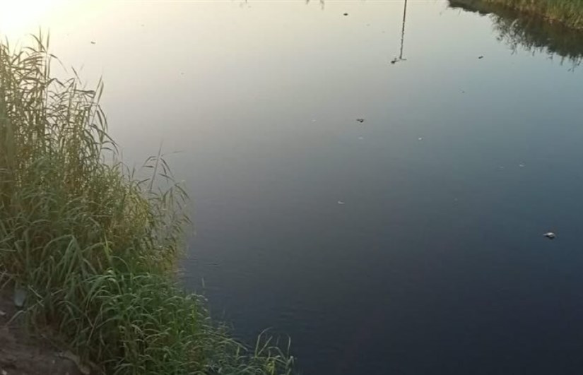 مصرف الزوامل